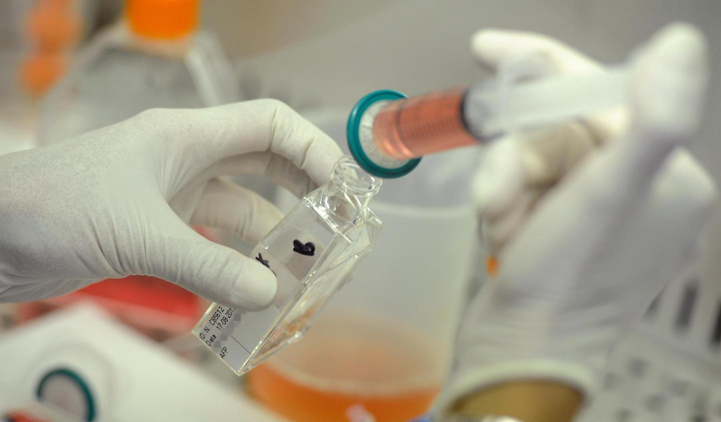 La lotta contro il cancro passa anche dalla Sardegna