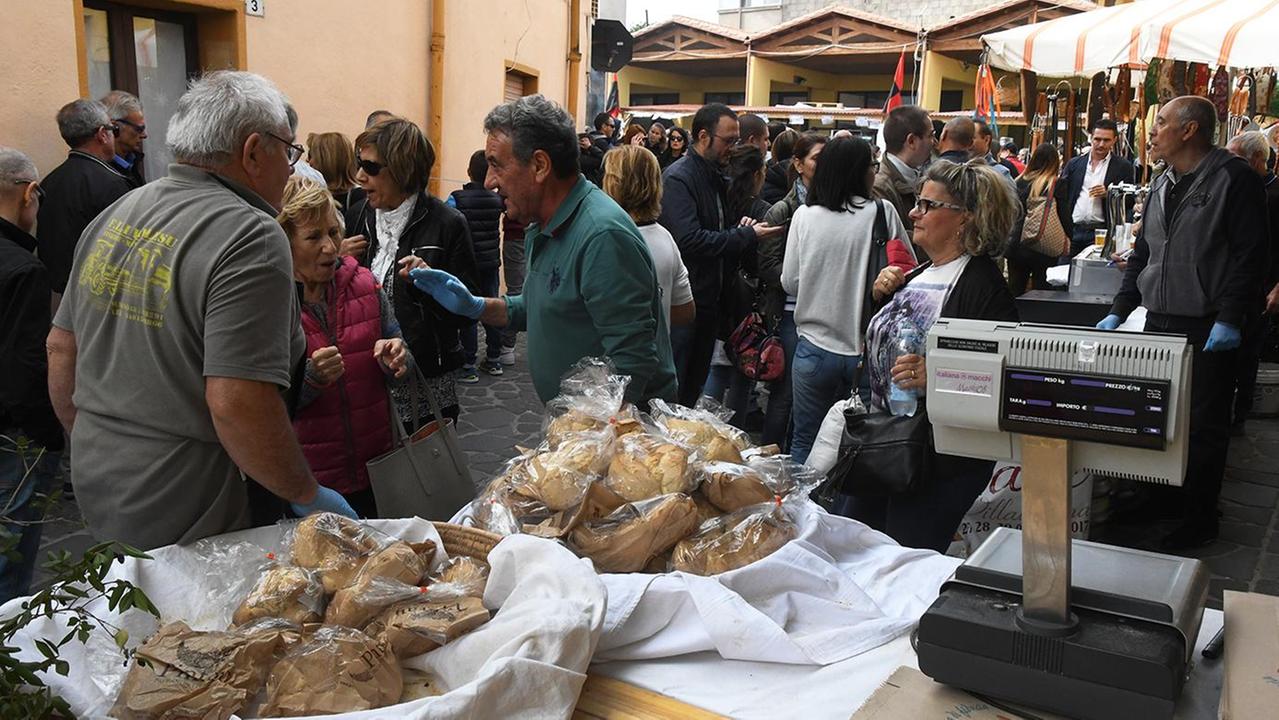 I visitatori sfidano il maestrale per il pane della tradizione