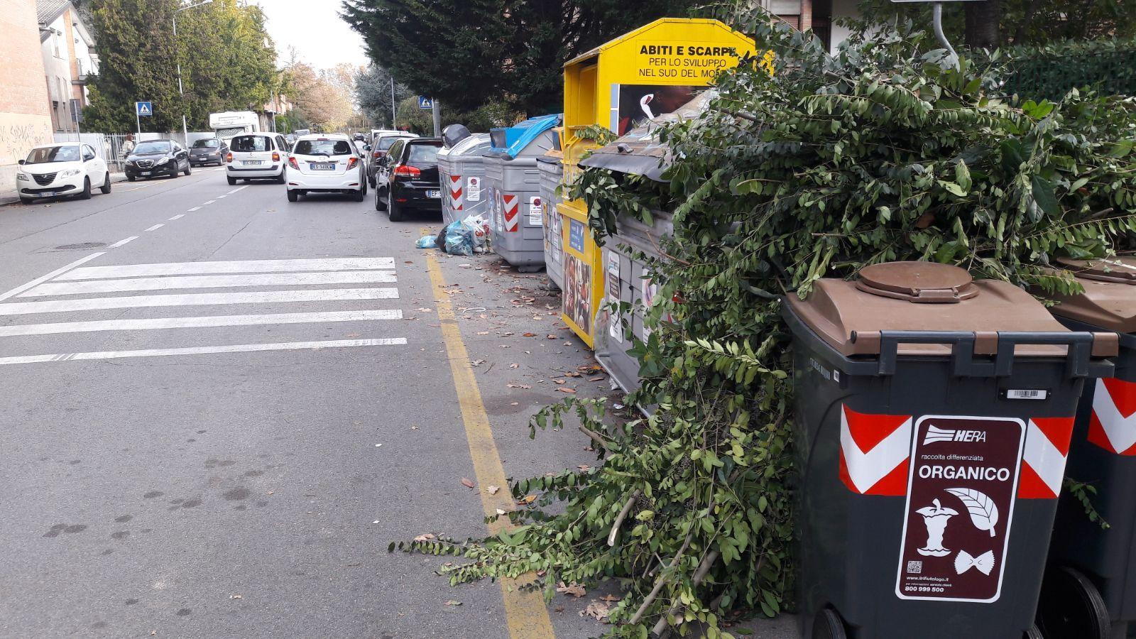 Giro di vite anti furbetti: card anche per le ramaglie 