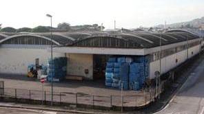 «Illegittima la cessione del ramo d’azienda»