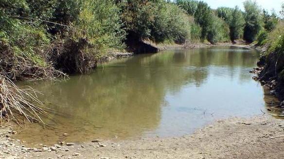 Liquami nel fiume Cecina