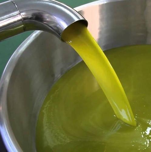 Un distretto rurale al sud per chiudere la filiera 