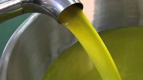 Un distretto rurale al sud per chiudere la filiera