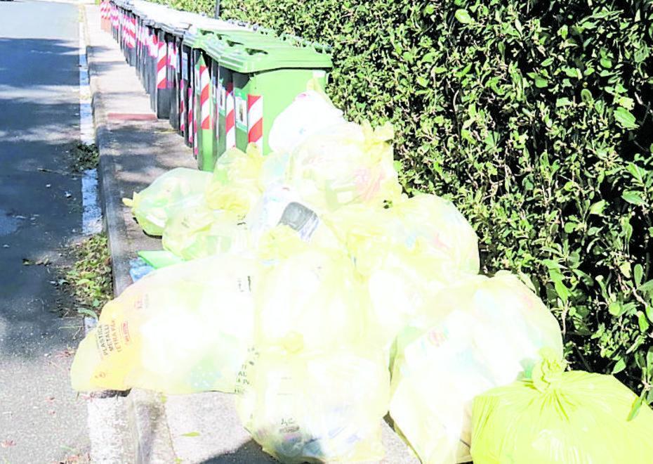 Livorno è verde solo a metà, per Legambiente siamo al 57° posto      