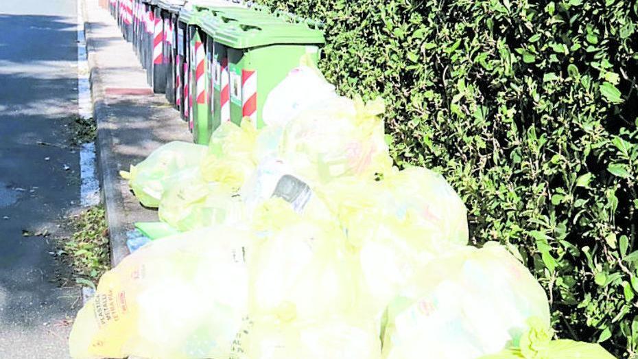 Livorno è verde solo a metà, per Legambiente siamo al 57° posto