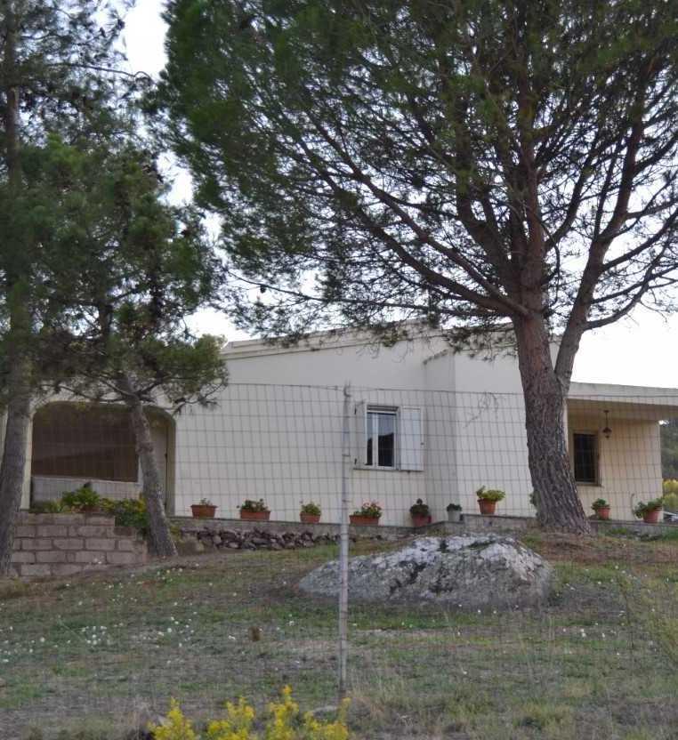 Bosa, ai raggi x i telefonini dei due rapinatori mancati