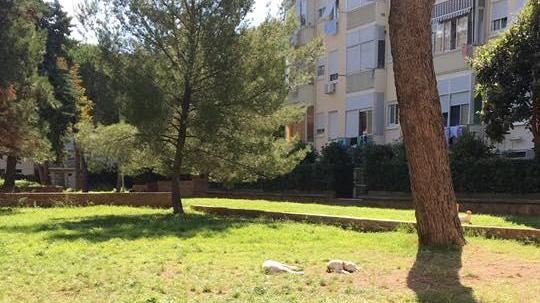 Bimba di un mese morta, ecco le due ipotesi sulle cause