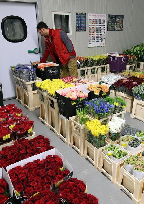 Ognissanti, supera i sette milioni di euro il giro di affari al Mefit di Pescia 