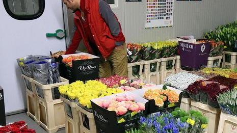 Ognissanti, supera i sette milioni di euro il giro di affari al Mefit di Pescia
