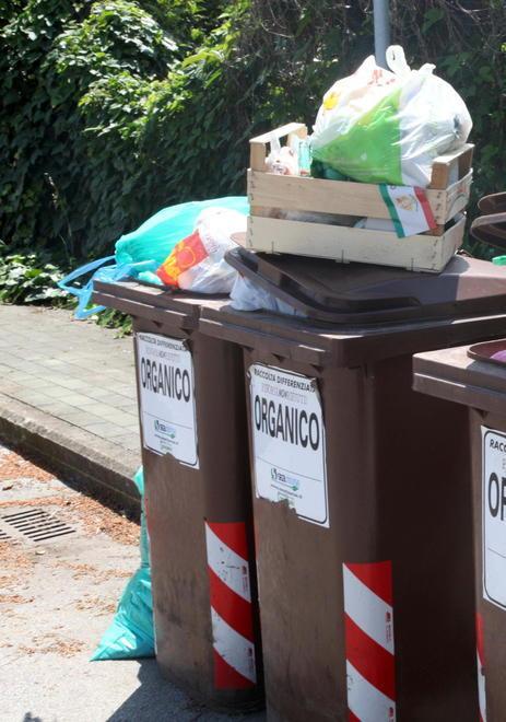 Rifiuti su un cassonetto della raccolta dell'organico