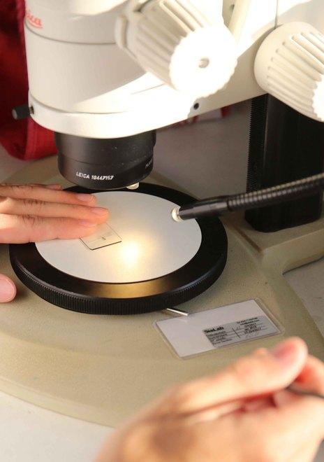Proteina killer dei tumori scoperta da studioso Unife 