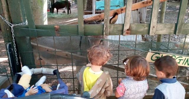 Educazione all’aperto all’agrinido 