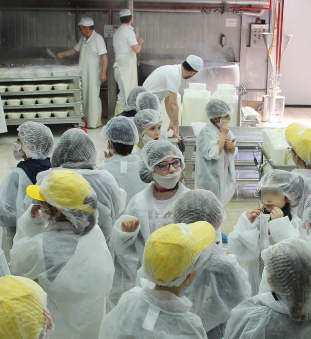 Il pecorino toscano dop torna in diciannove classi 