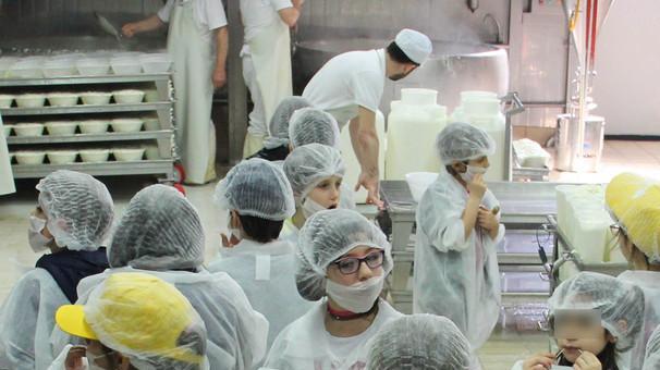 Il pecorino toscano dop torna in diciannove classi