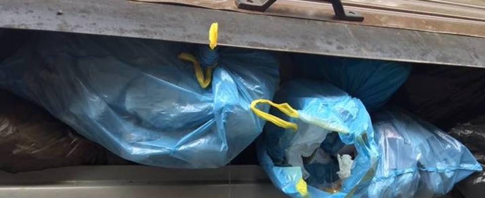 Ramaglie sotto chiave, plastica no