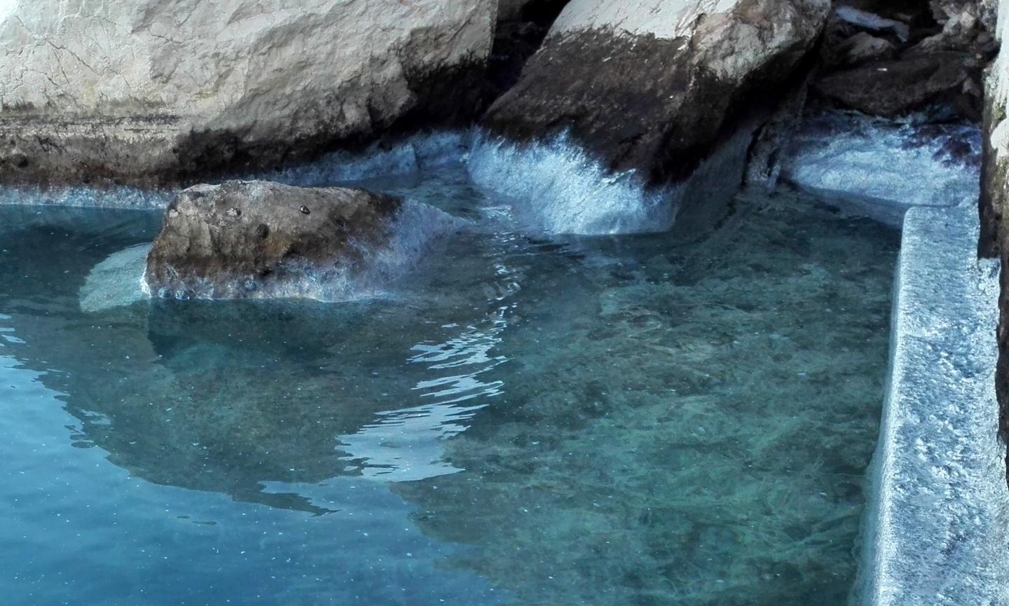 Mucillagine al porto della Caletta