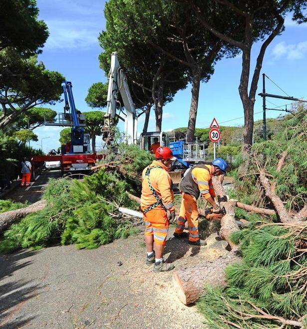 Danni per l’alluvione, domande all’Auser