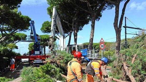 Danni per l’alluvione, domande all’Auser