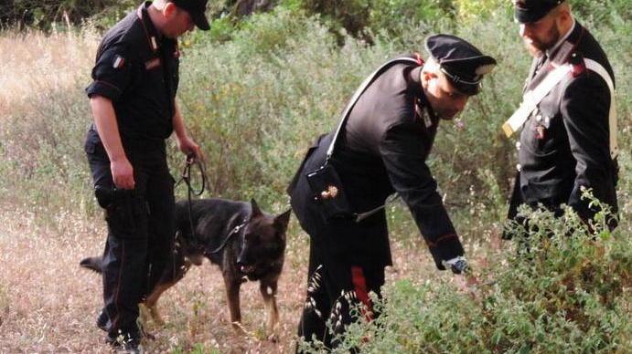 Nasconde cocaina in un cassonetto