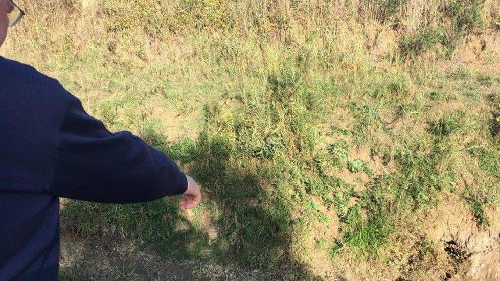 Le nutrie bucano gli argini Preoccupazione a Roselle