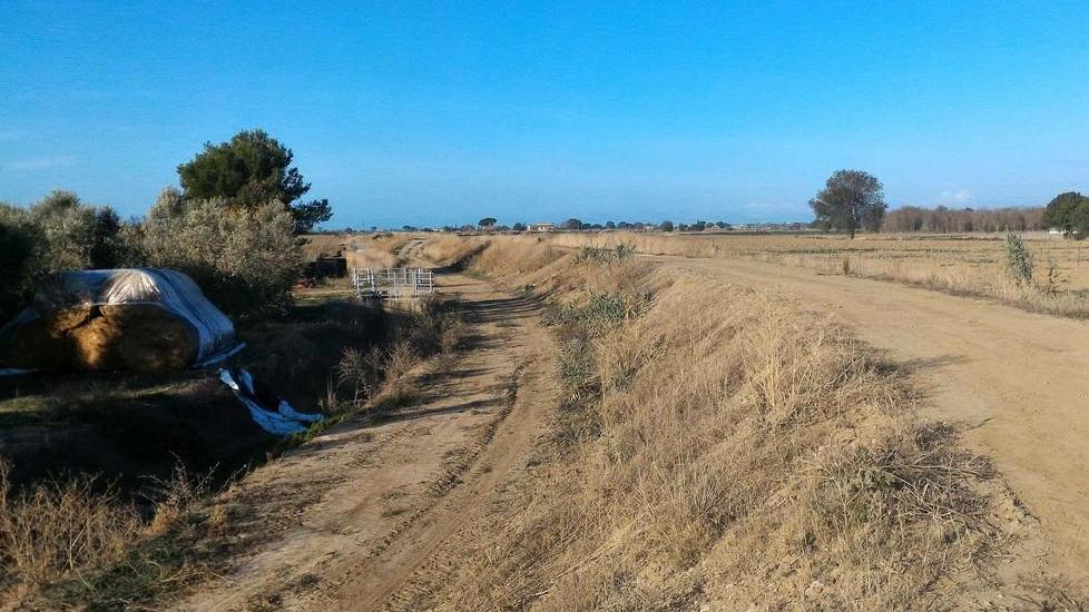 Argine remoto e Albegna La mappa dei punti critici