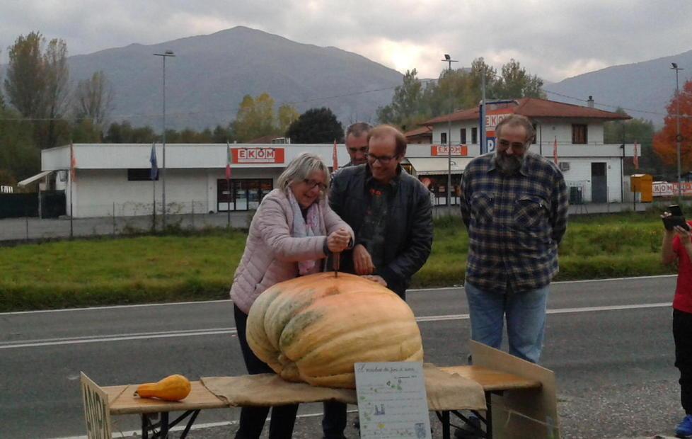 Grano in cambio di semi: l’agricoltura baratta 