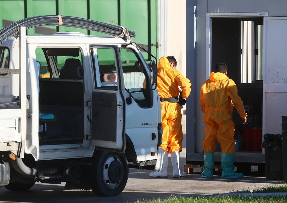 Aviaria, i rifiuti liquidi saranno smaltiti dal Cadf 