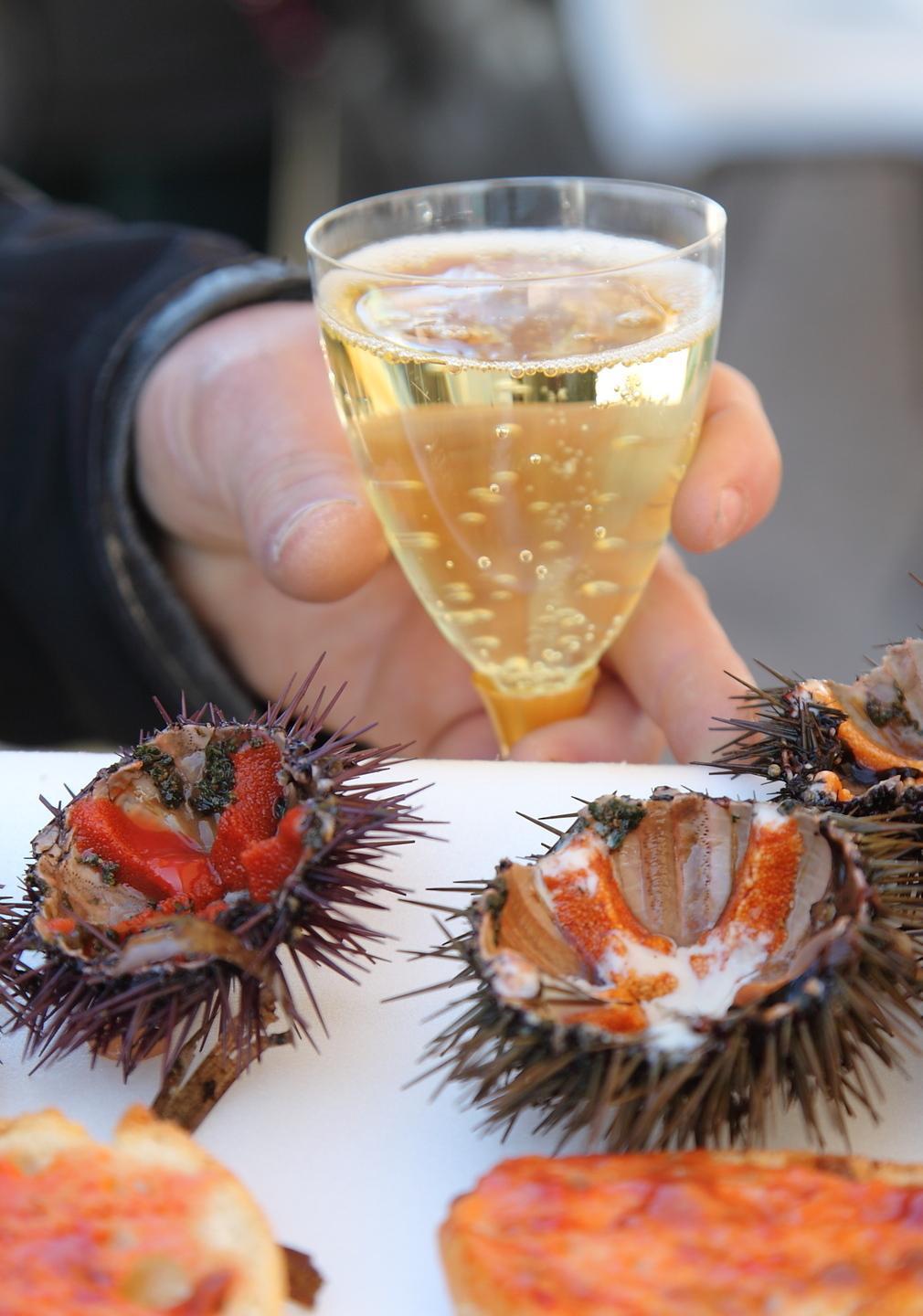 Alghero, Regione in campo per salvare la stagione del riccio di mare