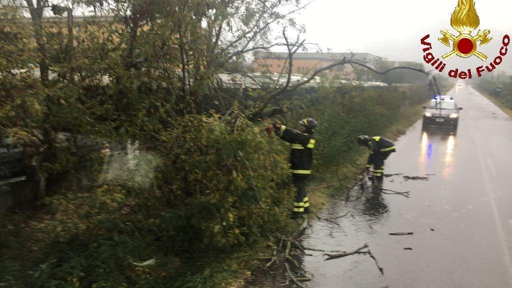 I vigili del fuoco al lavoro