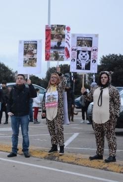 Sit in di protesta contro il circo con animali