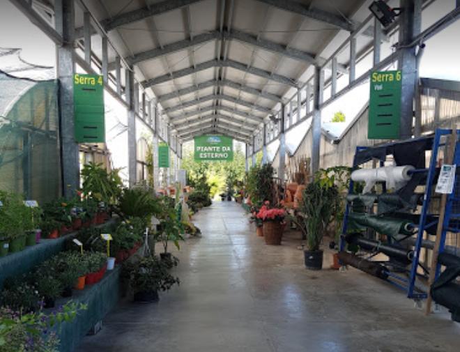 Fiorano, furto nel vivaio sparito furgone nuovo e attrezzi per giardinaggio 