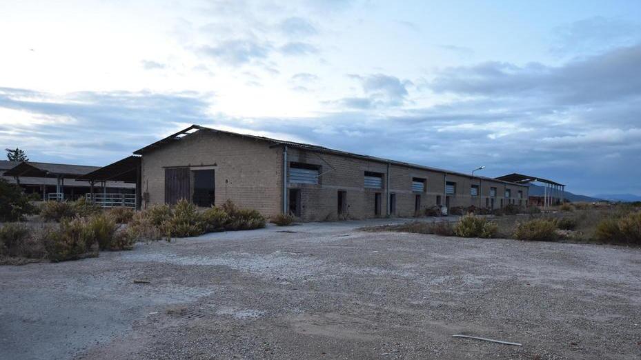 Il colosso del "senza glutine" investe in Maremma