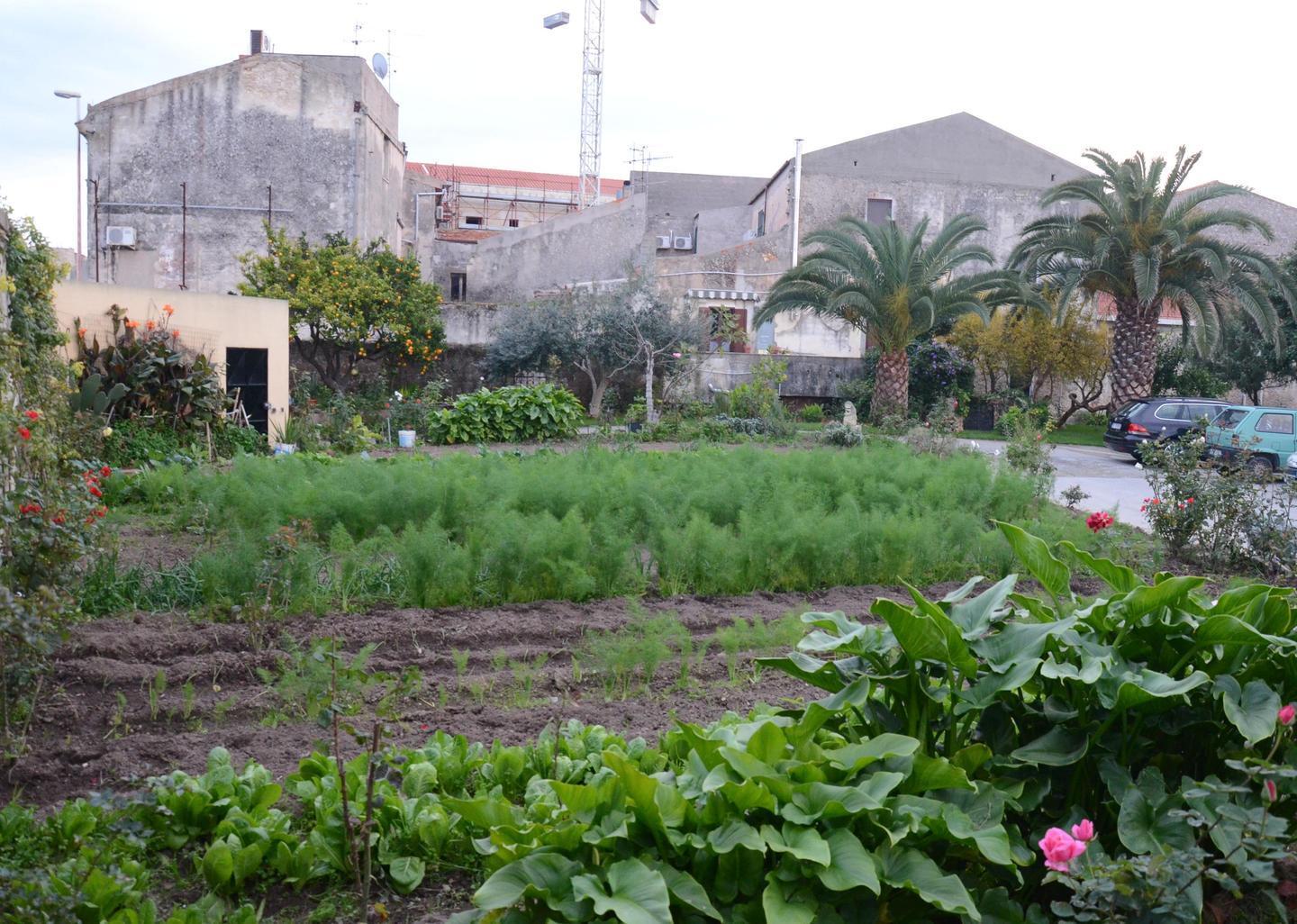 Mondo X, 20 anni in prima linea 