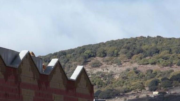 Appalto del cimitero: l’opposizione attacca la giunta comunale