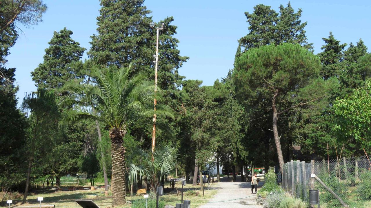 Uno dei percorsi del centro di Galceti
