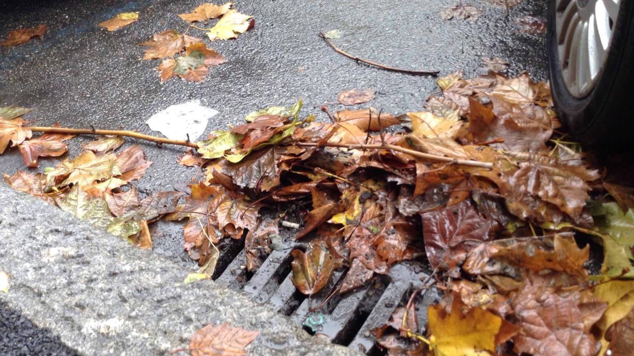 Un tombino otturato dalle foglie (foto Batavia)