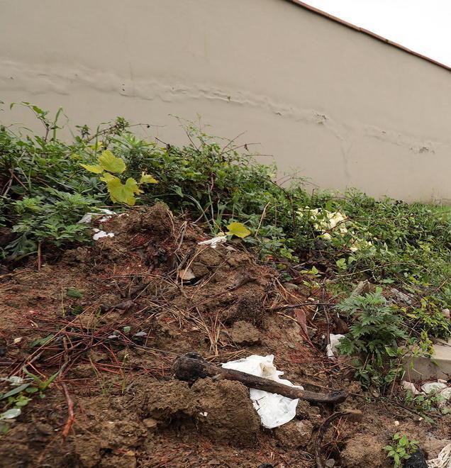 Spuntano ossa tra le tombe, macabra scoperta a Empoli 