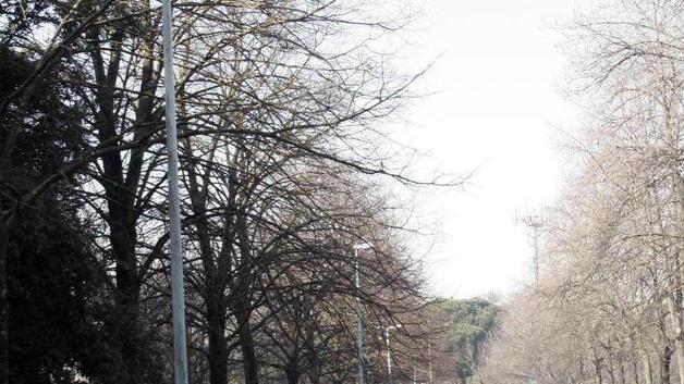 Architetto muore a 56 anni mentre corre nel parco dell’ex Ippodromo: infarto