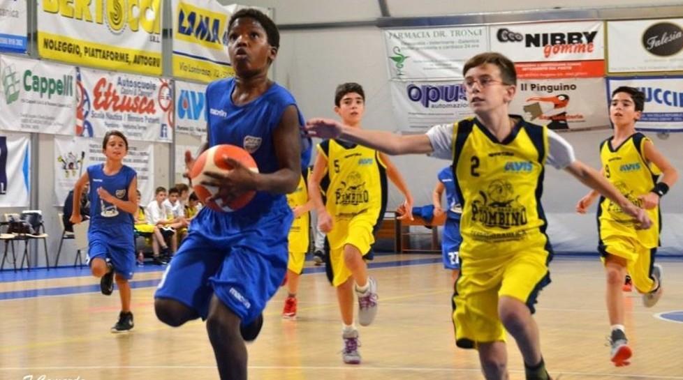 Basket giovanile, Piombino si aggiudica il derby Esordienti