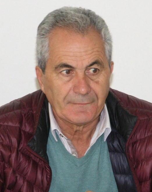 Aurelia senza pini, arriva una siepe 
