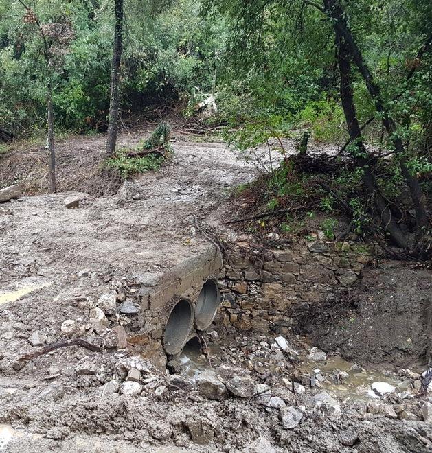 «Più pulizia dei fiumi e del sottobosco per evitare disastri» 