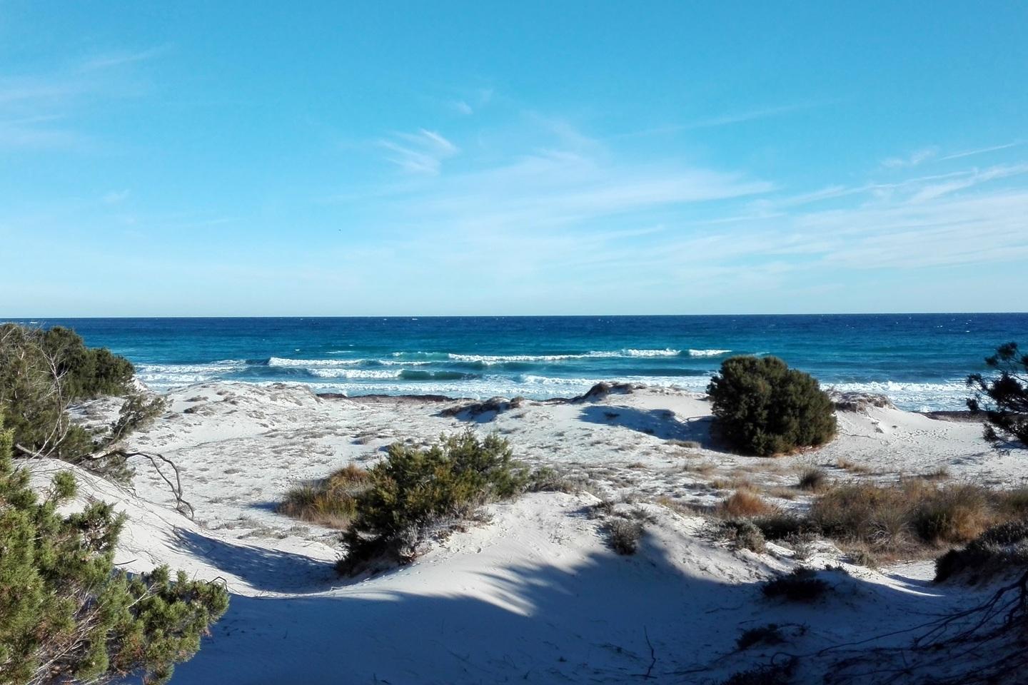Siniscola, a rischio il sistema dunale di Capo Comino 