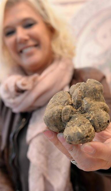 Scocca l’ora di re tartufo e la sua corte 