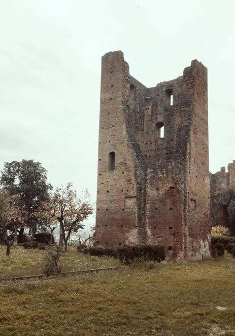 Torre con vetro e acciaio più l’ascensore per le visite 
