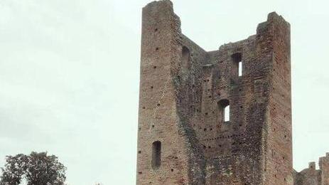 Torre con vetro e acciaio più l’ascensore per le visite