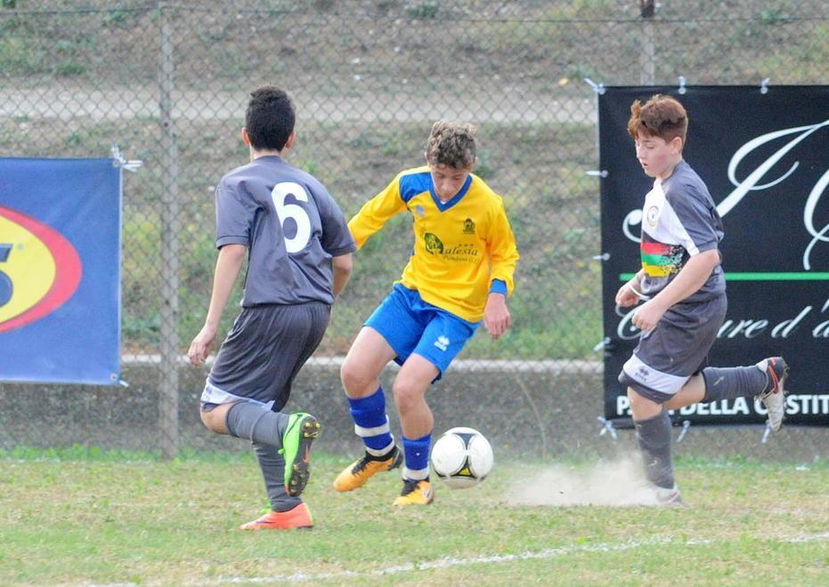 Allievi e Giovanissimi, ecco le partite 