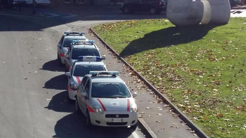 Fila di auto dei vigili in divieto di sosta