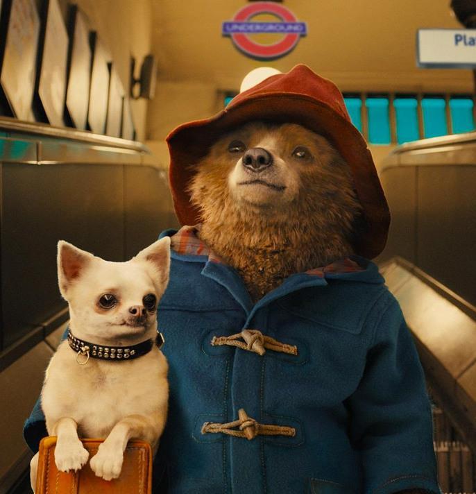 Paddington e Hugh Grant