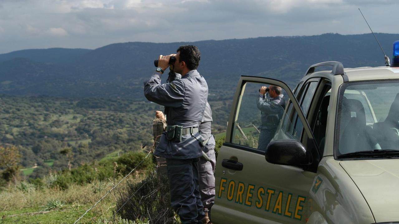 La Forestale nell’ex asilo