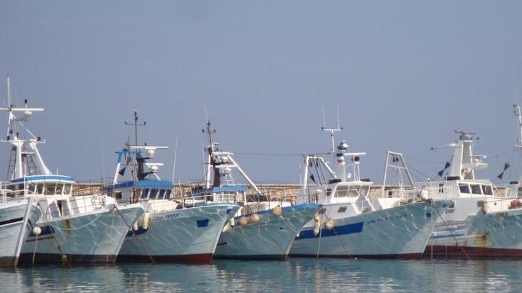Pescatori senz’acqua Si aspettano gli allacci